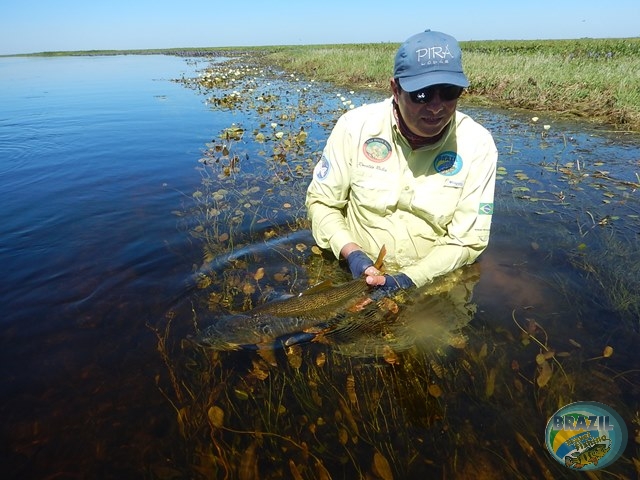 PIRA LODGE - Pantanal Argentino - Temporada 2.016